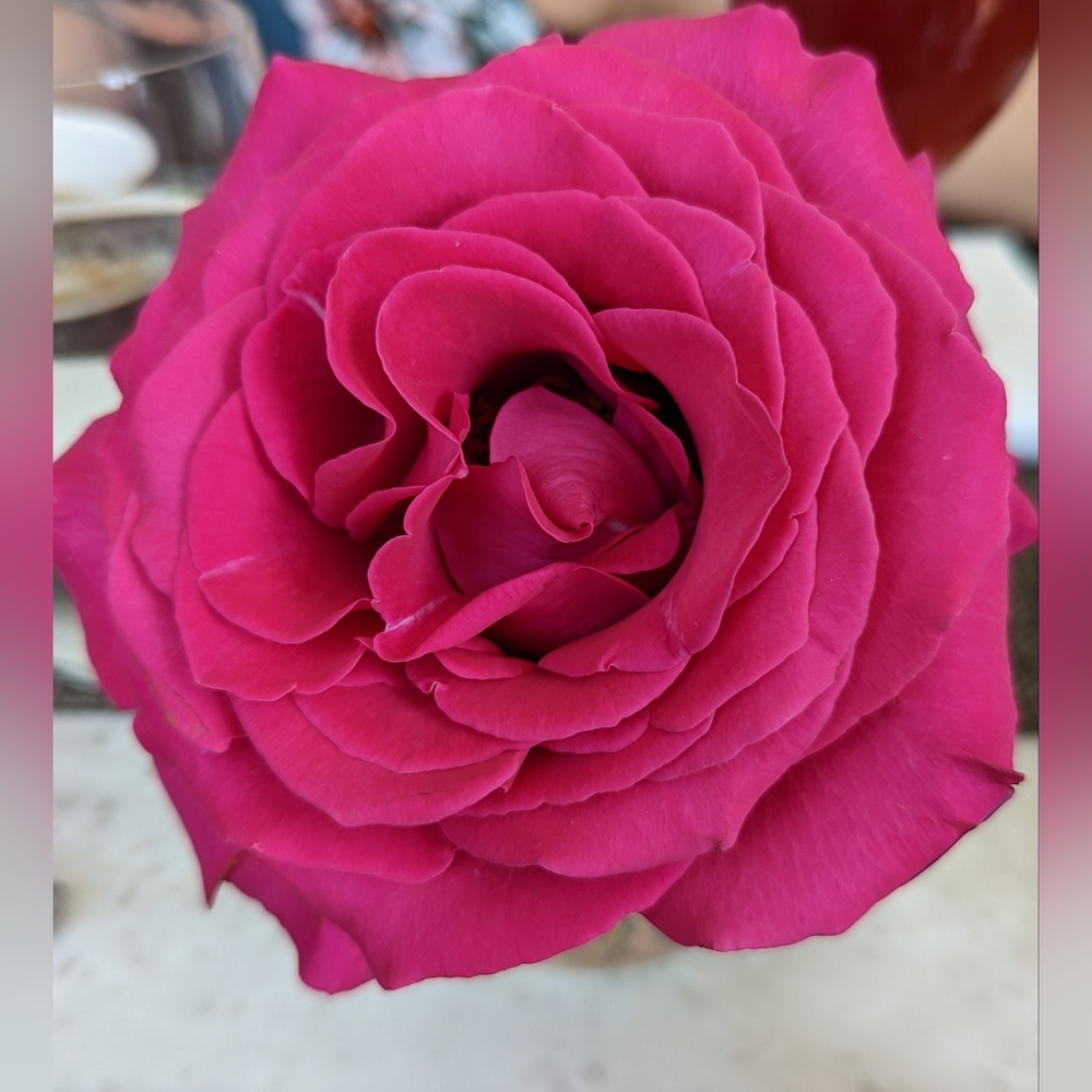 Meet your Posher, Krystal